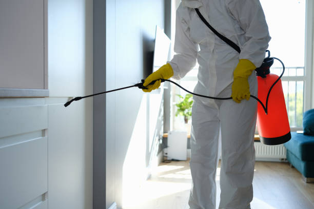 Best Mold Damage Repair  in Davie, FL
