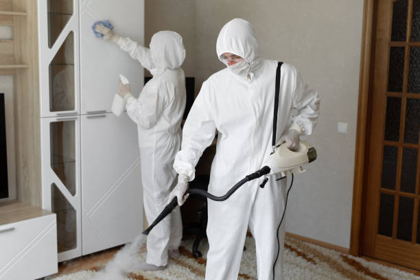 Best Professional Mold Removal  in Davie, FL