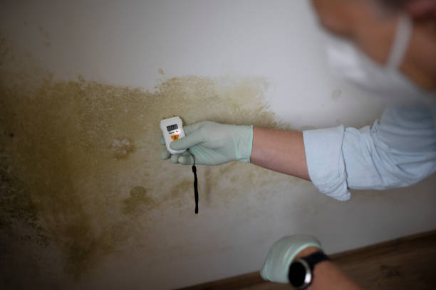 Water Damage Restoration in Davie, FL